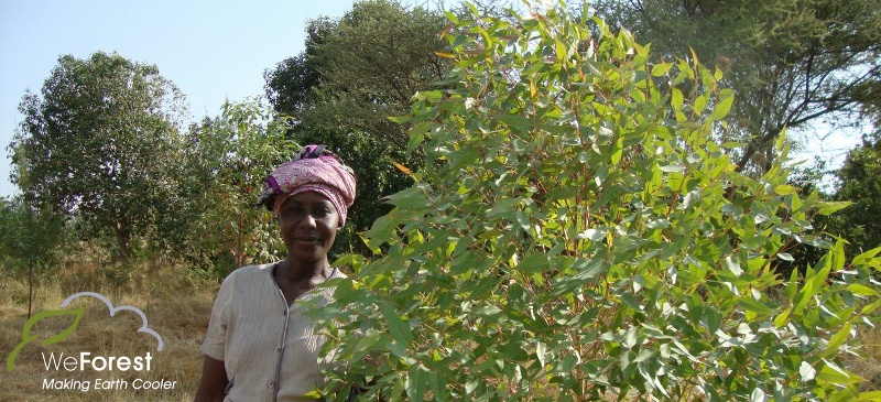 WeForest Tree Growing Project in Tanzania